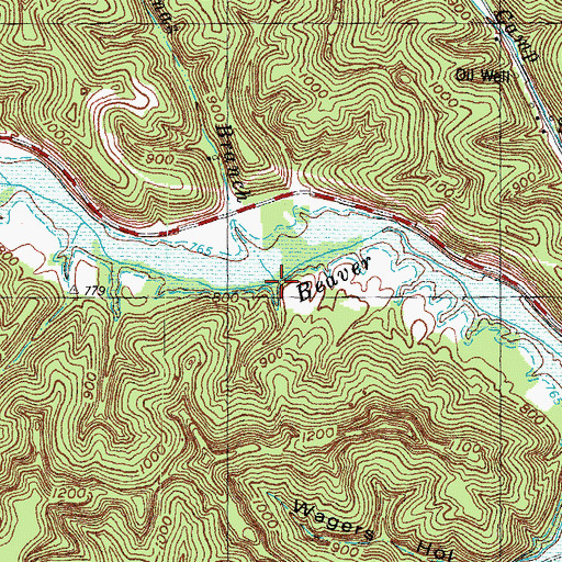 Topographic Map of Thomas Branch, KY