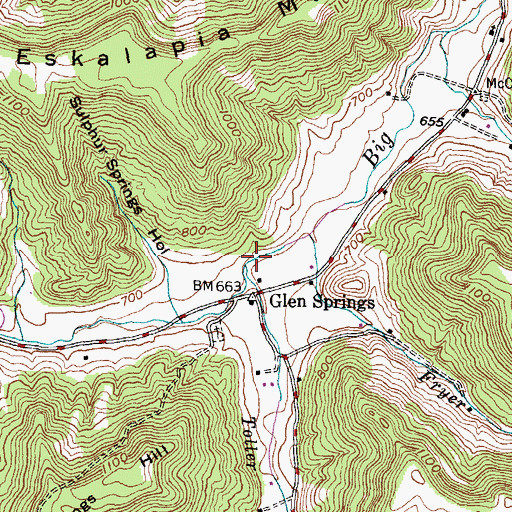 Topographic Map of Toller Branch, KY
