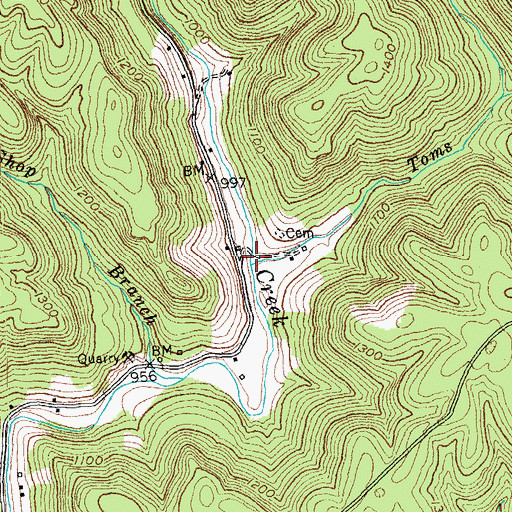 Topographic Map of Toms Branch, KY