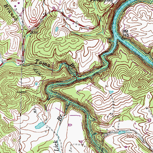 Topographic Map of Toms Branch, KY