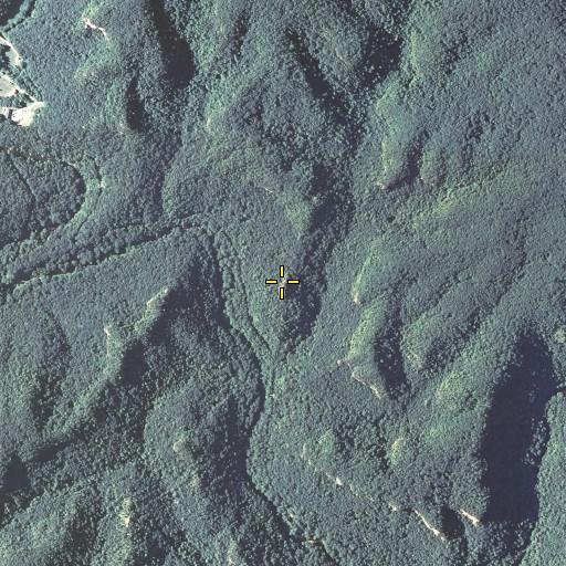 Aerial/Satellite Image of Tower Rock, KY