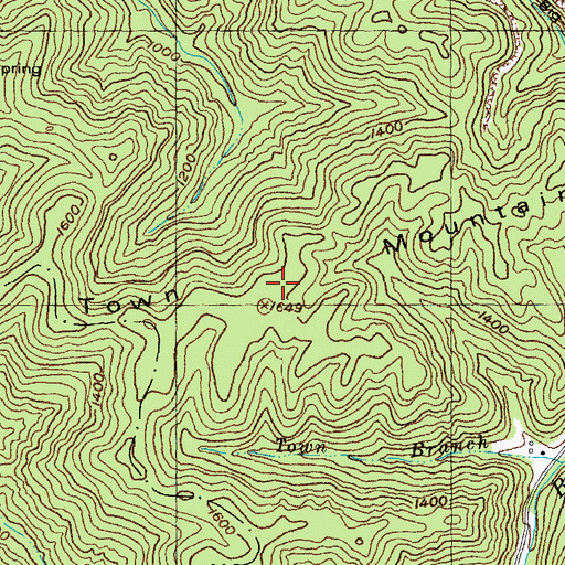 Topographic Map of Town Mountain, KY