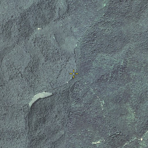 Aerial/Satellite Image of Trace Branch, KY