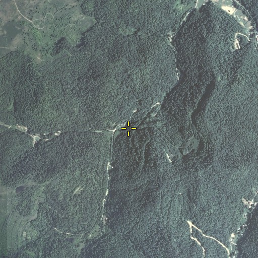 Aerial/Satellite Image of Trace Branch, KY