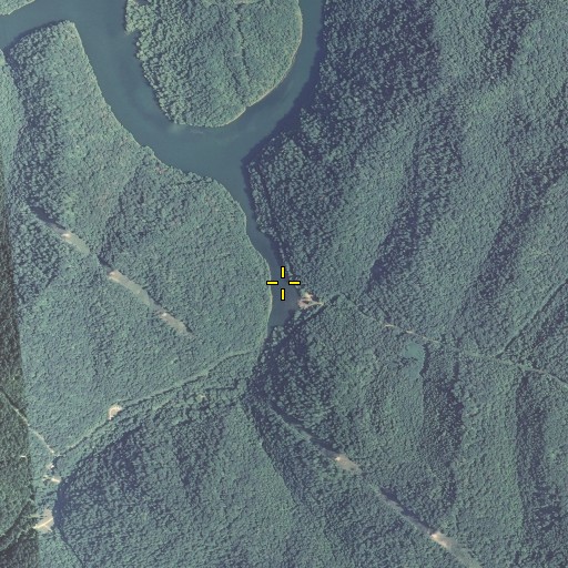 Aerial/Satellite Image of Trace Branch, KY