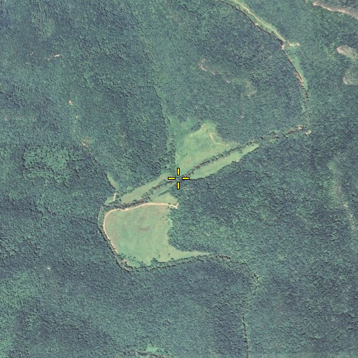 Aerial/Satellite Image of Trace Branch, KY