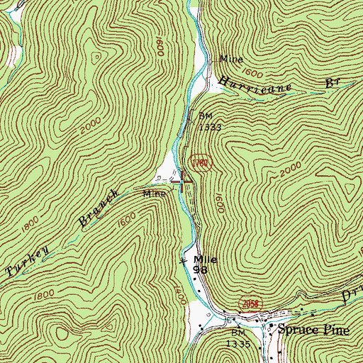 Topographic Map of Turkey Branch, KY
