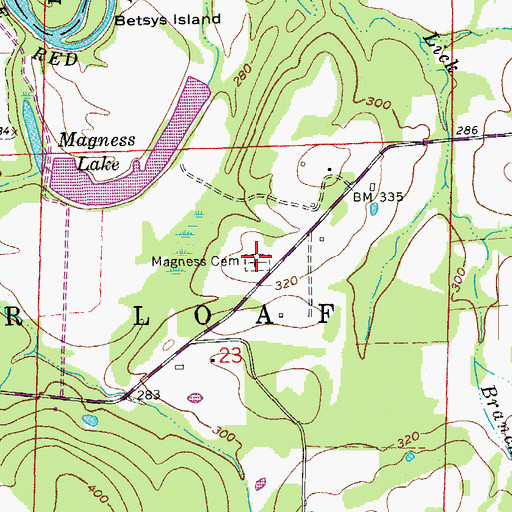 Topographic Map of Magness Cemetery, AR