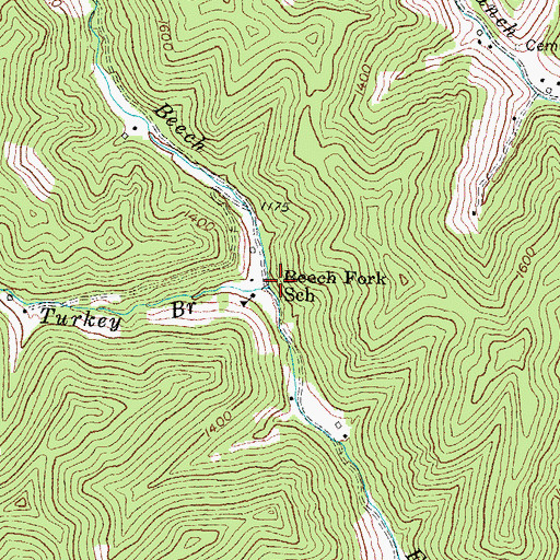 Topographic Map of Turkey Branch, KY