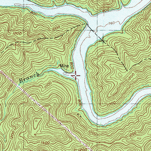 Topographic Map of Turkey Branch, KY