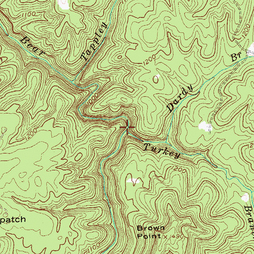Topographic Map of Turkey Branch, KY