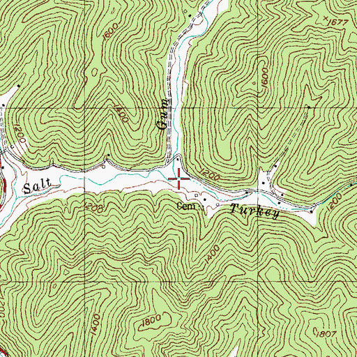Topographic Map of Turkey Fork, KY