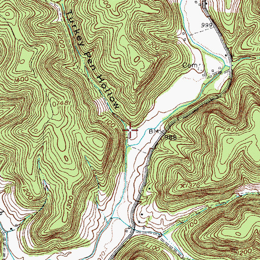 Topographic Map of Turkey Pen Hollow, KY