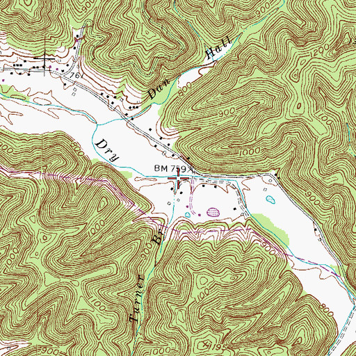 Topographic Map of Turner Branch, KY