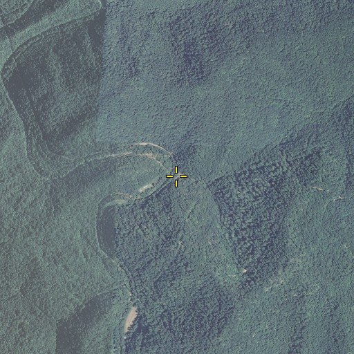 Aerial/Satellite Image of Upper Bent Branch, KY