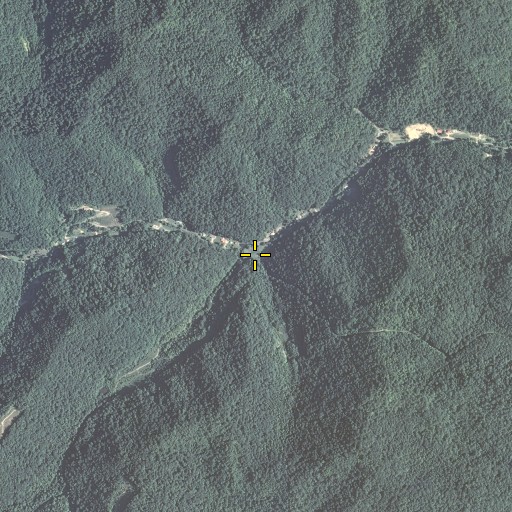 Aerial/Satellite Image of Upper Double Branch, KY