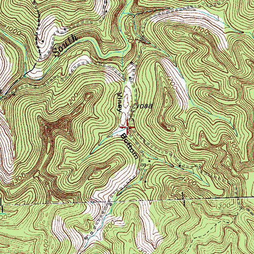 Topographic Map of Viney Bottom, KY