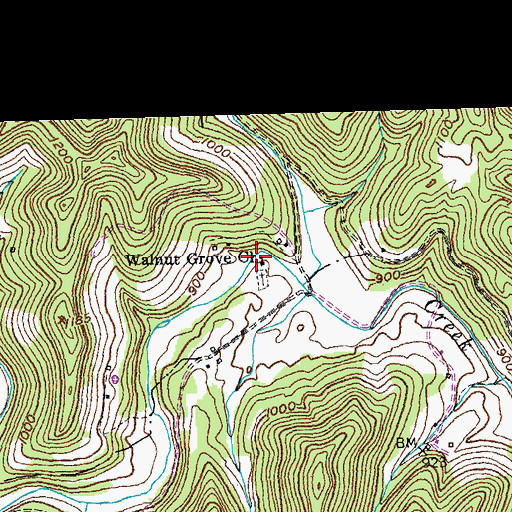 Topographic Map of Walnut Grove Church, KY