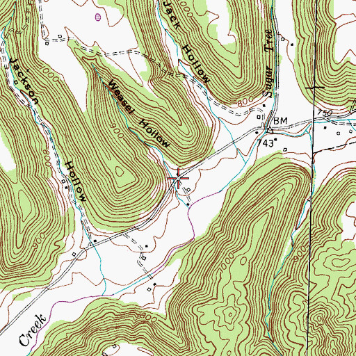 Topographic Map of Weasel Hollow, KY