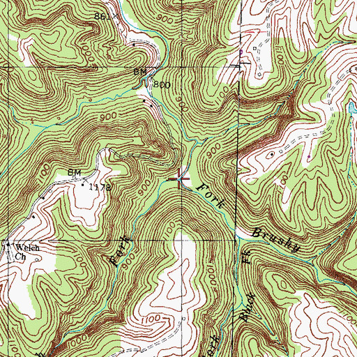 Topographic Map of Welch Fork, KY