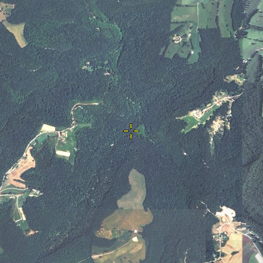 Aerial/Satellite Image of Welch Fork, KY