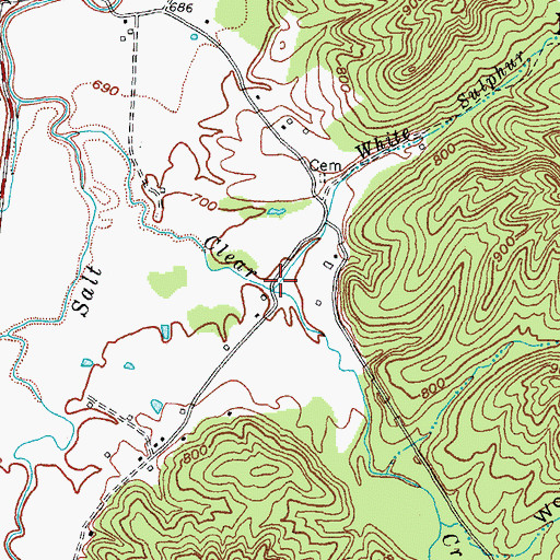 Topographic Map of White Sulphur Branch, KY