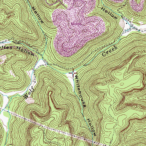 Topographic Map of Whitehouse Hollow, KY