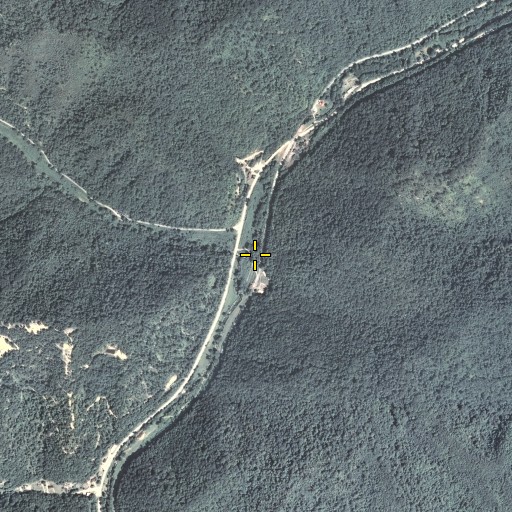 Aerial/Satellite Image of Whites Branch, KY