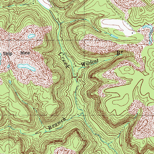Topographic Map of Wildcat Branch, KY