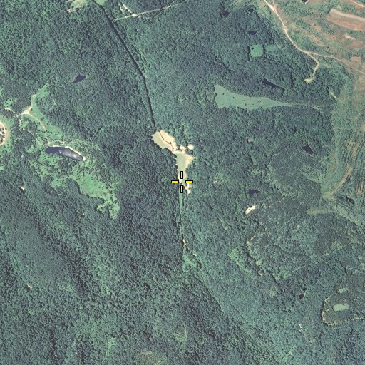 Aerial/Satellite Image of Wildcat Branch, KY