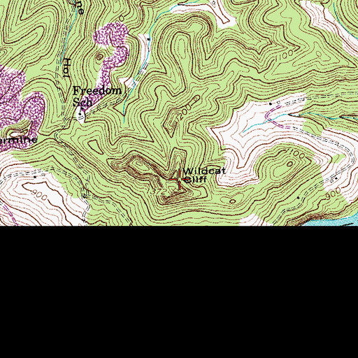 Topographic Map of Wildcat Cliff, KY