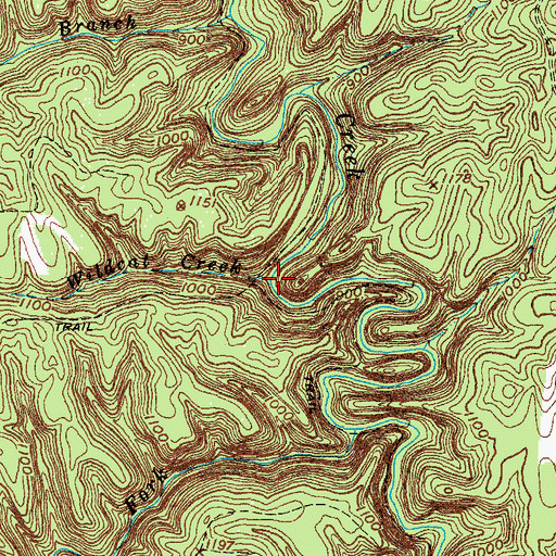 Topographic Map of Wildcat Creek, KY