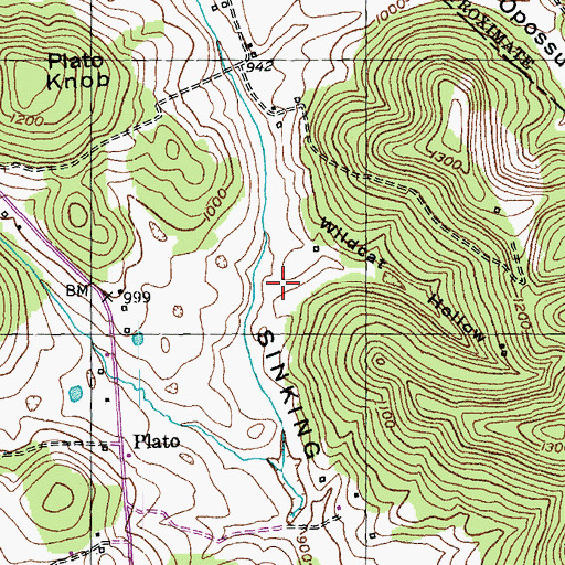 Topographic Map of Wildcat Hollow, KY