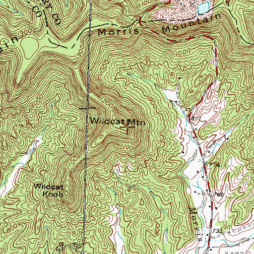 Topographic Map of Wildcat Mountain, KY