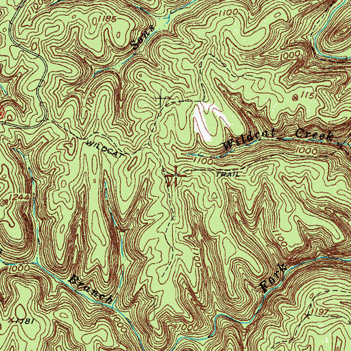 Topographic Map of Wildcat Trail, KY