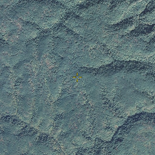 Aerial/Satellite Image of Wildcat Trail, KY