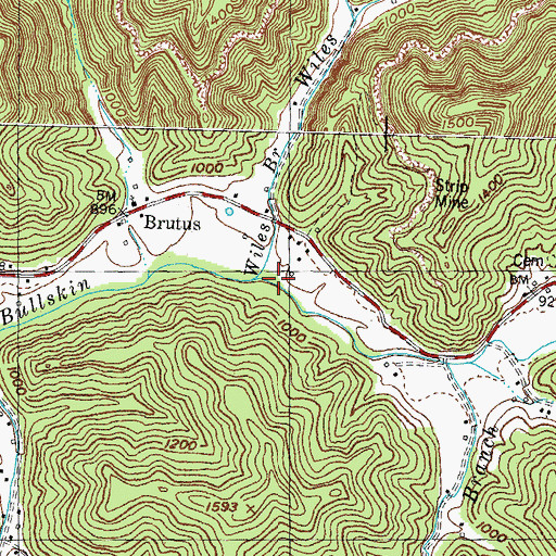 Topographic Map of Wiles Branch, KY