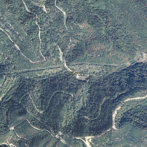 Aerial/Satellite Image of Wilson Branch, KY
