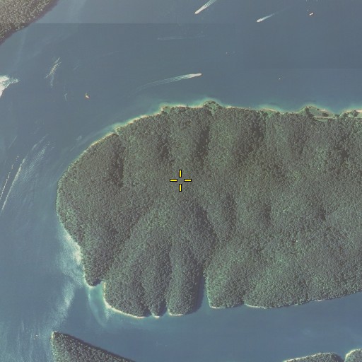 Aerial/Satellite Image of Wilson Hill, KY