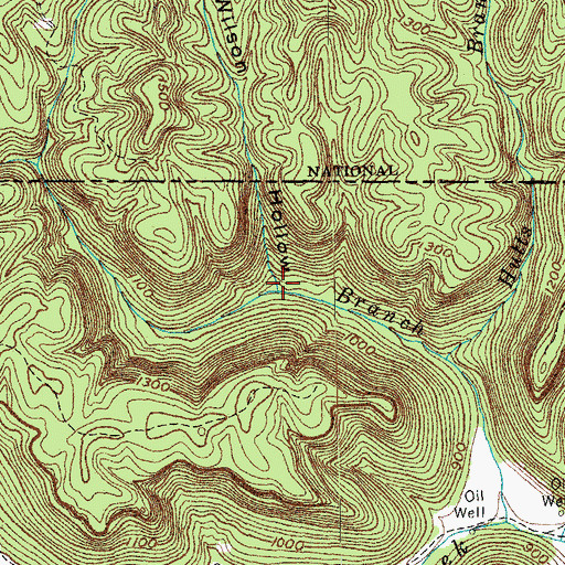 Topographic Map of Wilson Hollow, TN