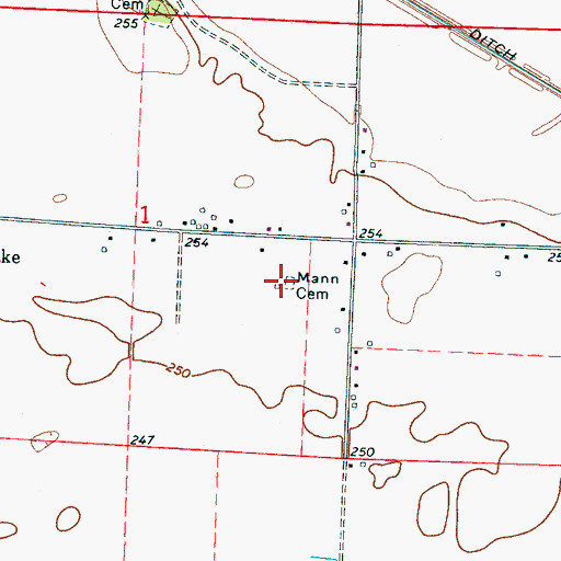 Topographic Map of Mann Cemetery, AR
