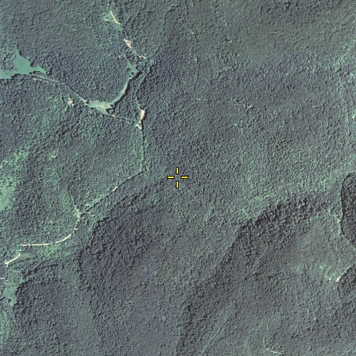 Aerial/Satellite Image of Wind Cave Branch, KY
