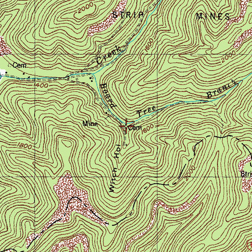 Topographic Map of Witch Hollow, KY