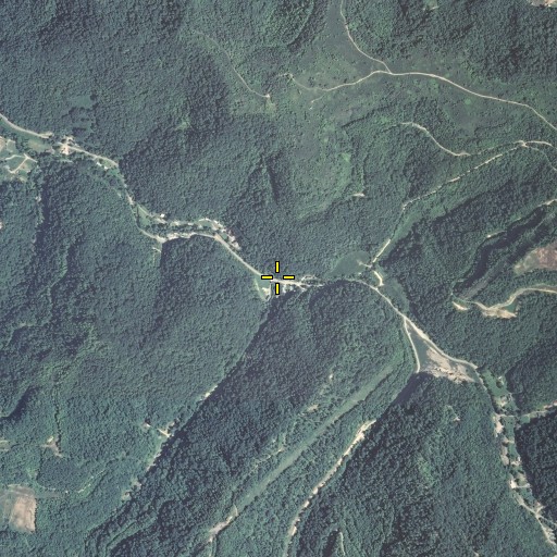 Aerial/Satellite Image of Wolf Branch, KY