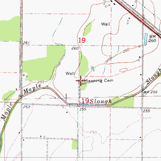 Topographic Map of Manning Cemetery, AR