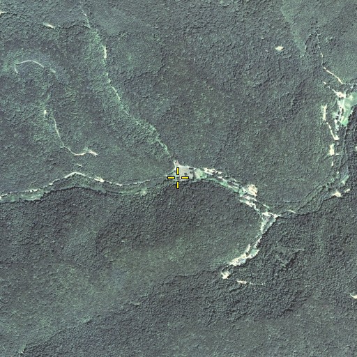 Aerial/Satellite Image of Wolfpen Branch, KY