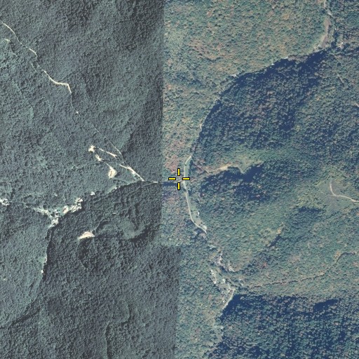 Aerial/Satellite Image of Wolfpen Branch, KY