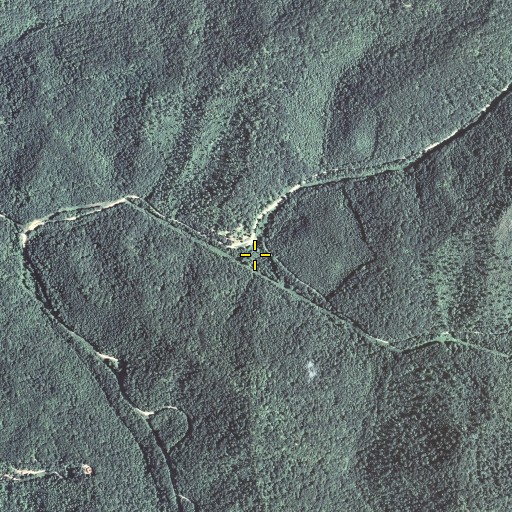 Aerial/Satellite Image of Woodson Fork, KY