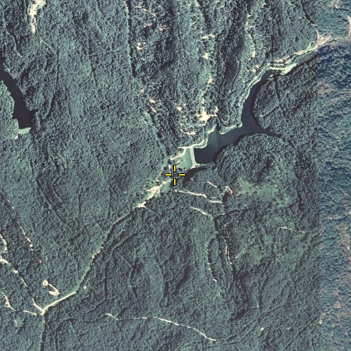 Aerial/Satellite Image of Zachariah Fork, KY