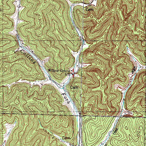 Topographic Map of Willow Grove Church, KY